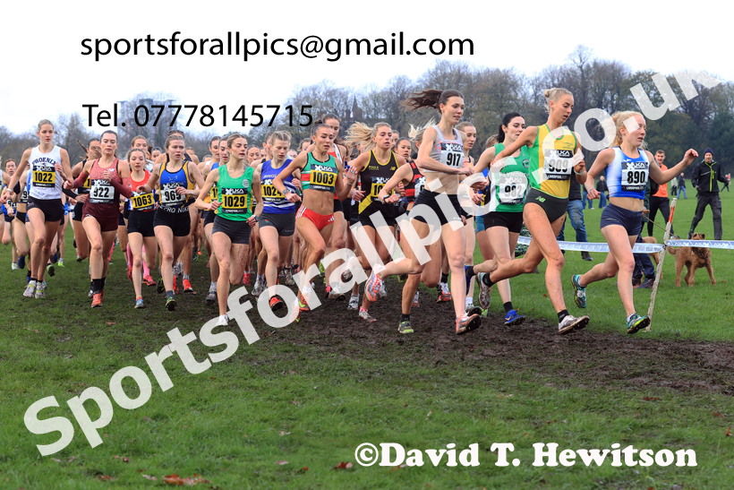 Senior Womens and Under-23s 2025 Liverpool Cross Challenge, Sefton Park, Saturday, November 22th. Photo: David T. Hewitson/Sports for All Pics
